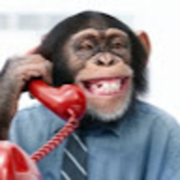 Meet your Posher, Adam - Picture 1 of 1